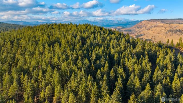 15 XX Elk Heights Road, Cle Elum, WA 98922