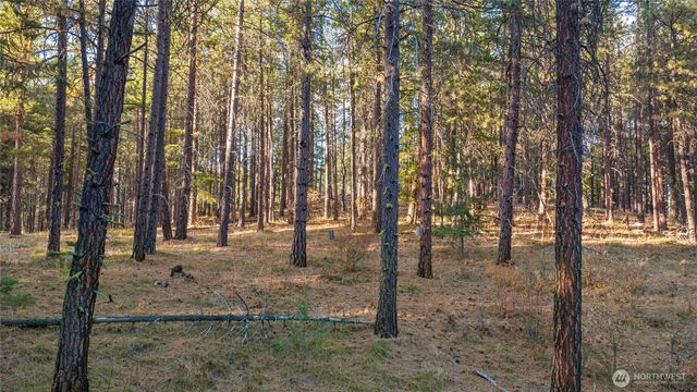 15 XX Elk Heights Road, Cle Elum, WA 98922