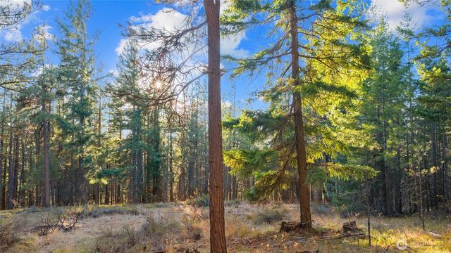 15 XX Elk Heights Road, Cle Elum, WA 98922