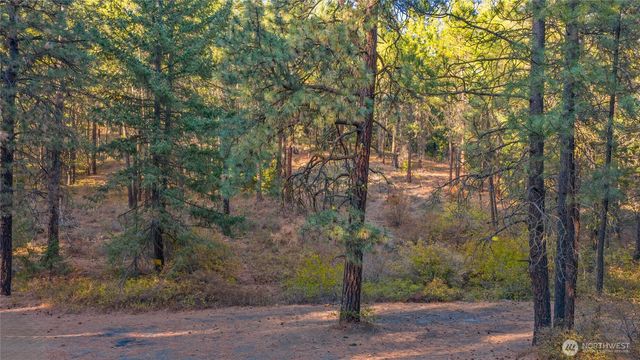 15 XX Elk Heights Road, Cle Elum, WA 98922