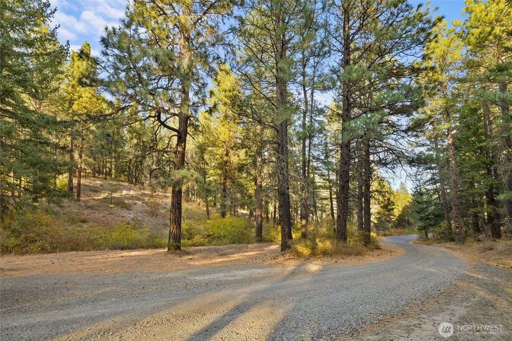 15 XX Elk Heights Road, Cle Elum, WA 98922