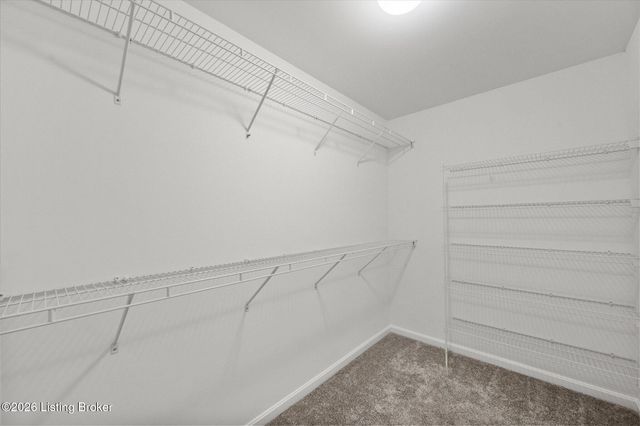4809 Cedar Forest Pl, Louisville, KY 40245