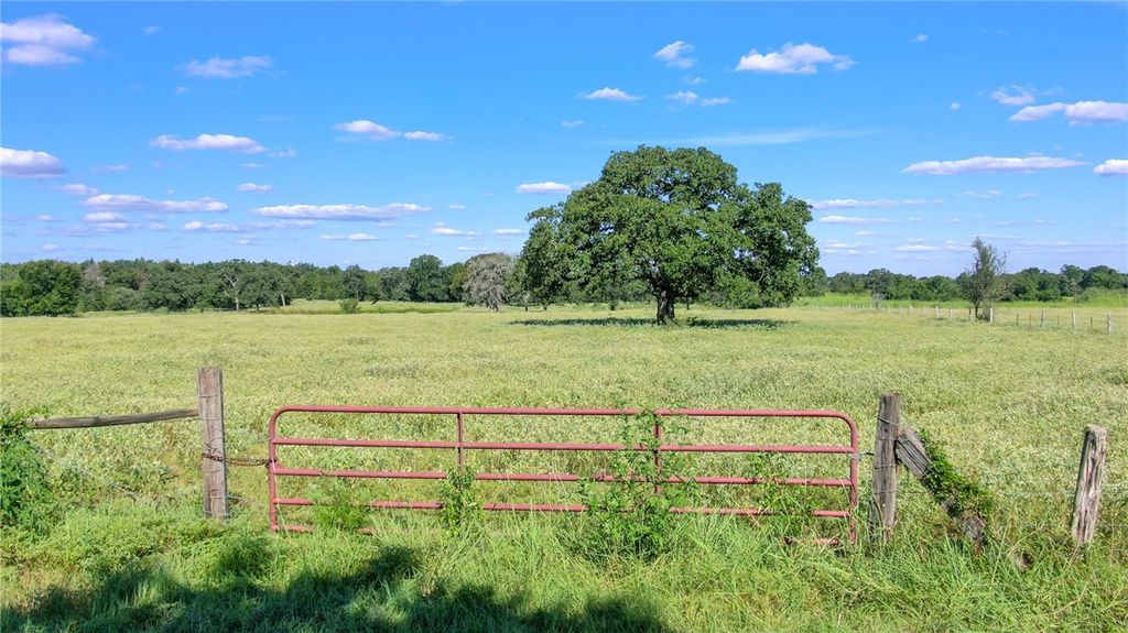 TBD CR 227 County Road, Caldwell, TX 77836 — photo 2