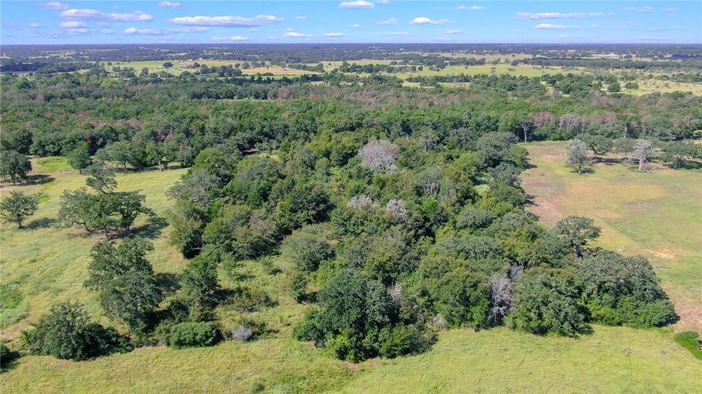 TBD CR 227 County Road, Caldwell, TX 77836 — photo 3