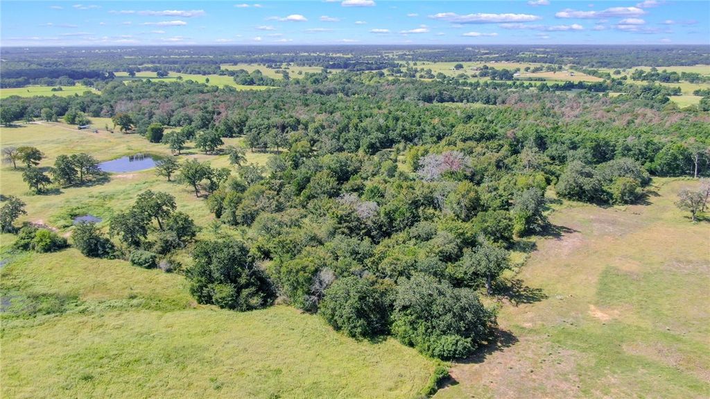 TBD CR 227 County Road, Caldwell, TX 77836 — photo 4