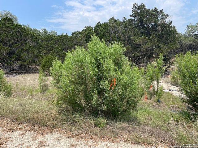 908 serene, Spring Branch, TX 78070