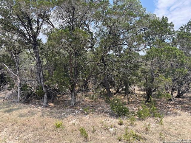 908 serene, Spring Branch, TX 78070