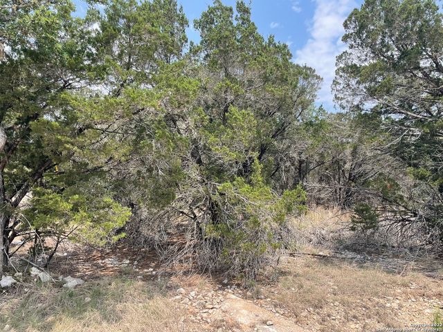 908 serene, Spring Branch, TX 78070