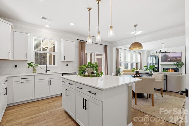 175 Asmodean Lane, Troutman, NC 28166