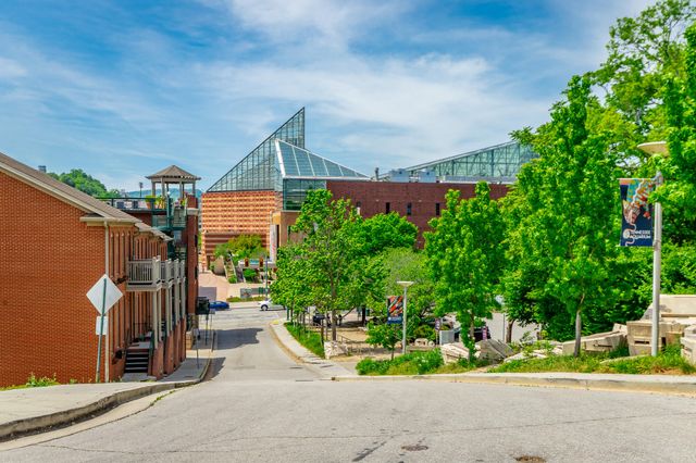 129 Walnut Street Unit 124, Chattanooga, TN 37403