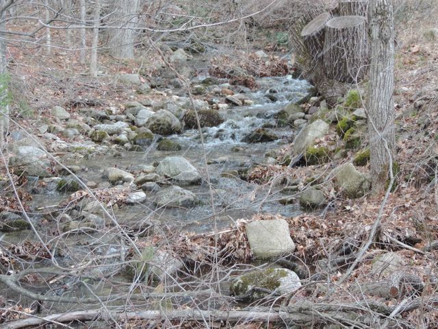 445 Whittier Highway, Sandwich, NH 03227