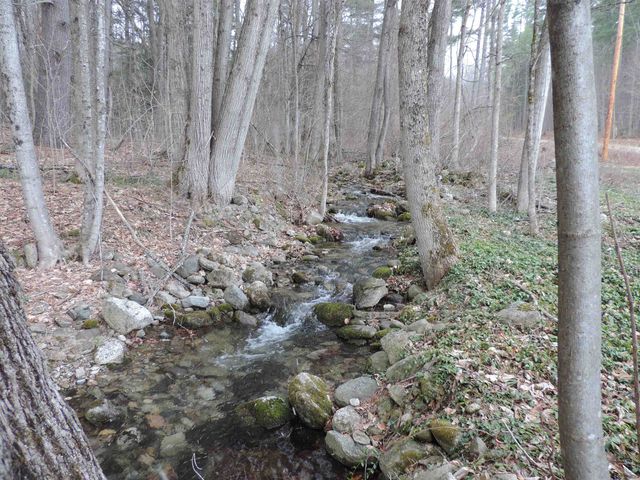445 Whittier Highway, Sandwich, NH 03227