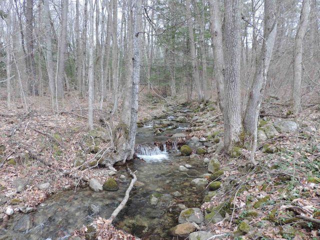 445 Whittier Highway, Sandwich, NH 03227