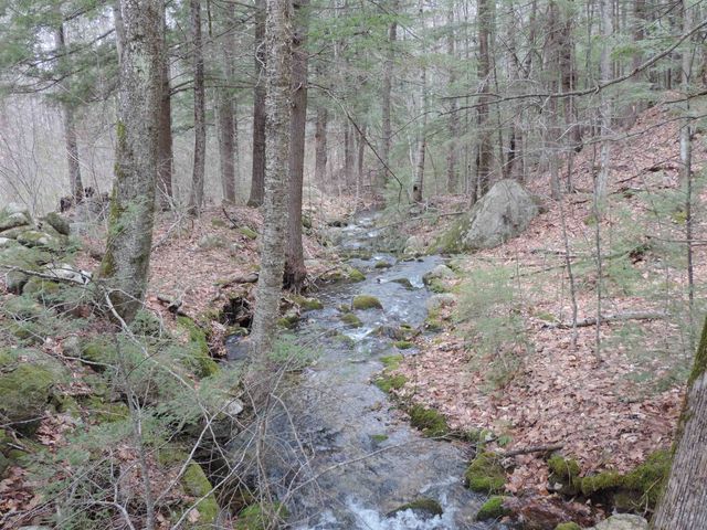 445 Whittier Highway, Sandwich, NH 03227