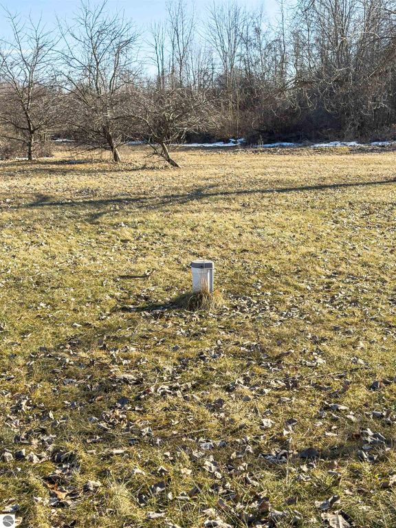 Image 47 of property listing at 5510 E Remus Road, Mt Pleasant, MI 48858