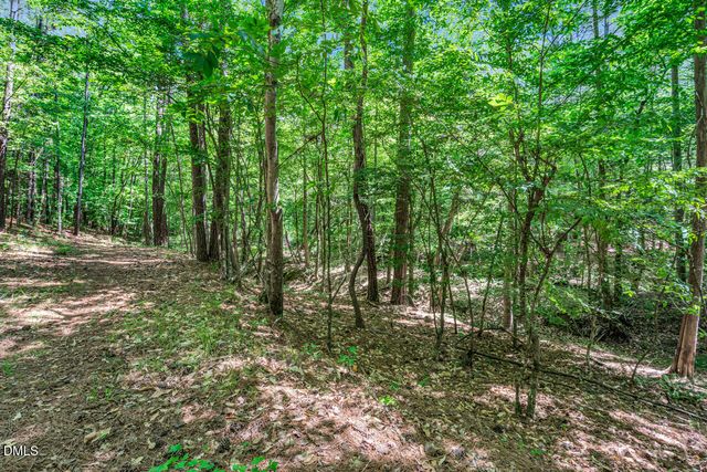 686 Spindlewood, Pittsboro, NC 27312