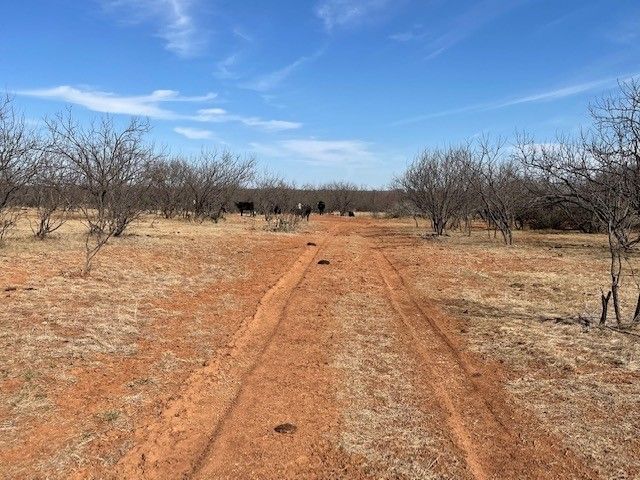 Tract 3 (32 Ac) FM 600, Abilene, TX 79601