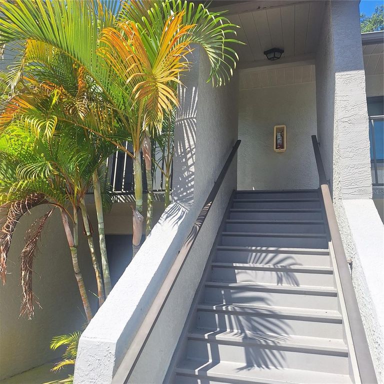 2377 LAKE HEATHER HEIGHTS COURT 2377, Dunedin, FL 34698