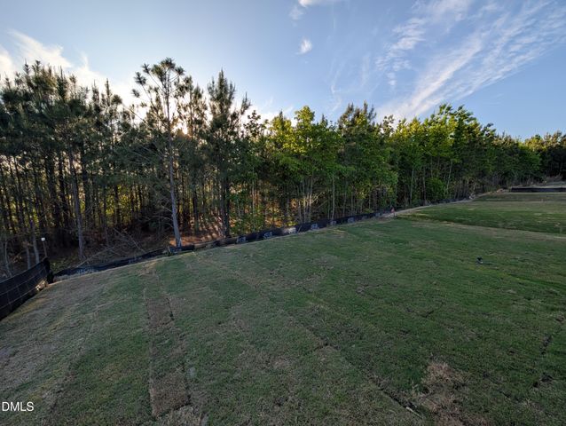 905 Diana Victoria Court, Wendell, NC 27591