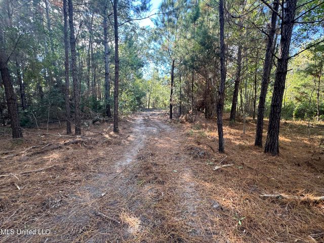 7190 Cantania Road, Bay Saint Louis, MS 39520