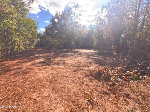 7190 Cantania Road, Bay Saint Louis, MS 39520