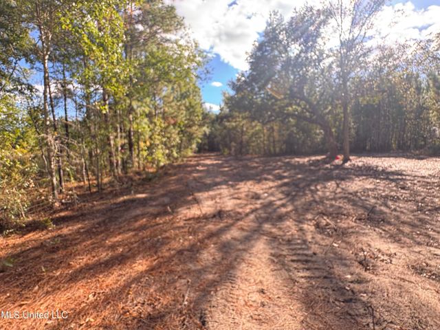 7190 Cantania Road, Bay Saint Louis, MS 39520