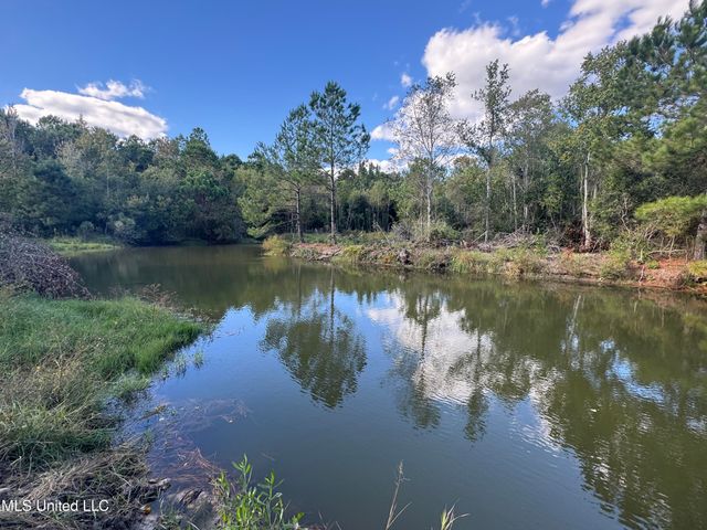 7190 Cantania Road, Bay Saint Louis, MS 39520