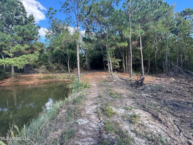 7190 Cantania Road, Bay Saint Louis, MS 39520