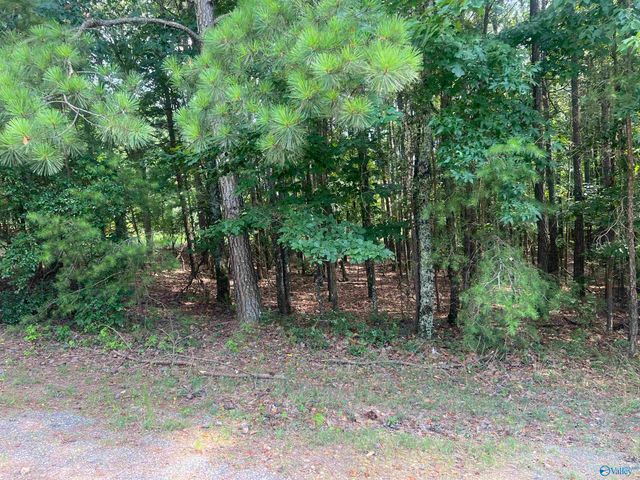 Lot 43 County Road 1016, Cedar Bluff, AL 35959
