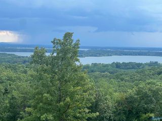 Lot 43 County Road 1016, Cedar Bluff, AL 35959