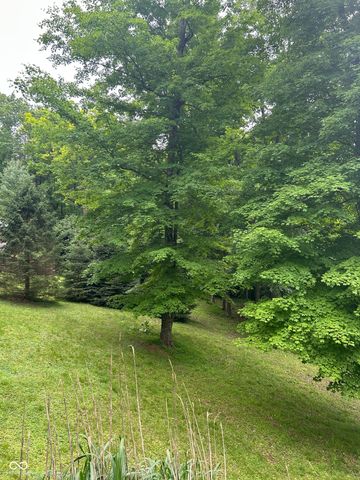 7680 Beech Tree Road, Nineveh, IN 46164