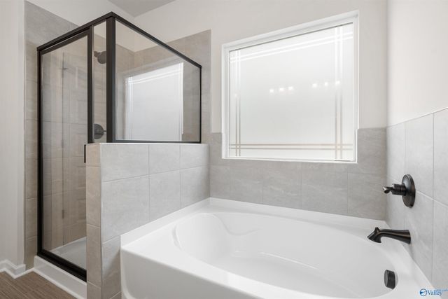 1127 Tanger Glen Trail, Harvest, AL 35749