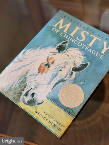 5403 PEARL DR, Chincoteague Island, VA 23336