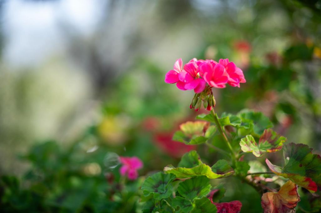 Image 37 of property listing at 37129 Pebble Lane, Yokuts Valley, CA 93675