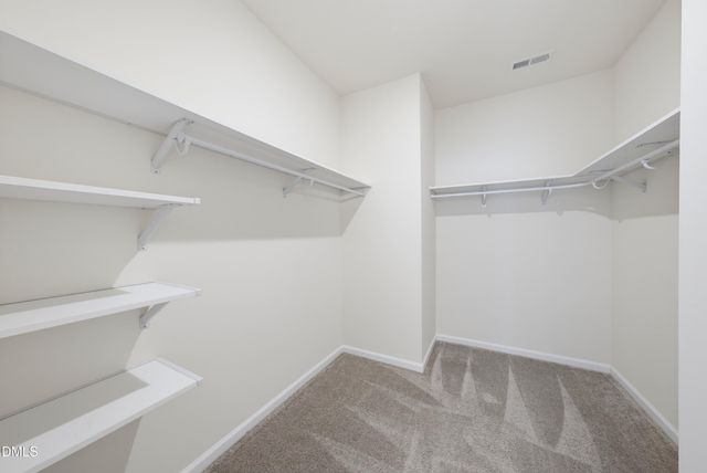 3146 Zebroid Way, New Hill, NC 27562