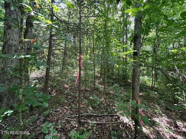 Tract 4 County Road 783, Etowah, TN 37331