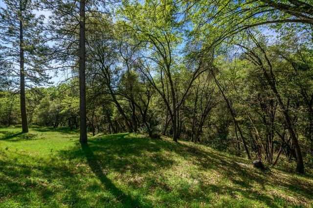 4910 Chisholm Trl, Placerville, CA 95667