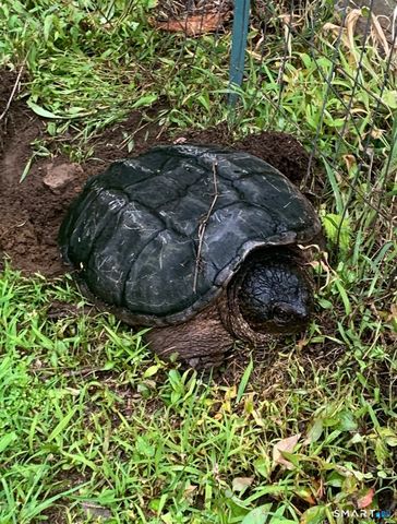 1566 Long Ridge Road, Stamford, CT 06903