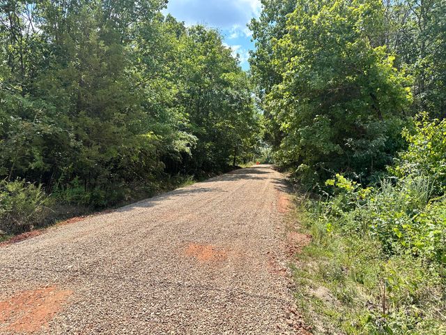 97 Sparrow Lane, Shell Knob, MO 65747