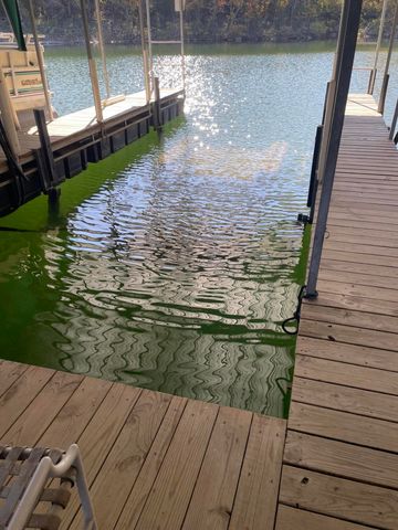 97 Sparrow Lane, Shell Knob, MO 65747