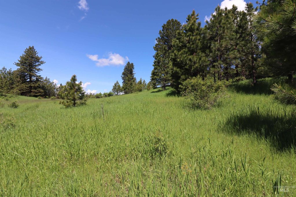TBD Serenity Rd Lot 3, Kamiah, ID 83536 photo 5