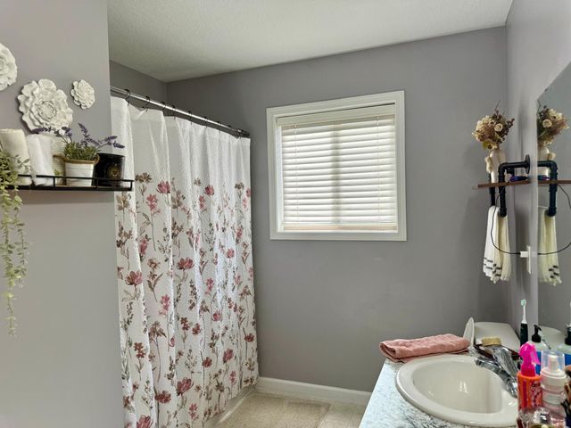 1011 Alexander Court, Montrose, MN 55363