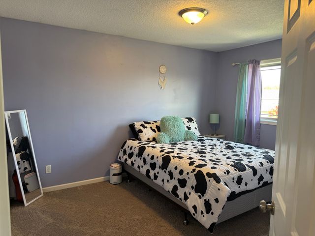 1011 Alexander Court, Montrose, MN 55363