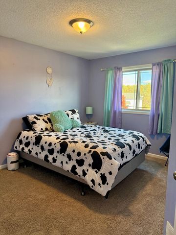 1011 Alexander Court, Montrose, MN 55363