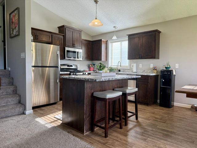 1011 Alexander Court, Montrose, MN 55363