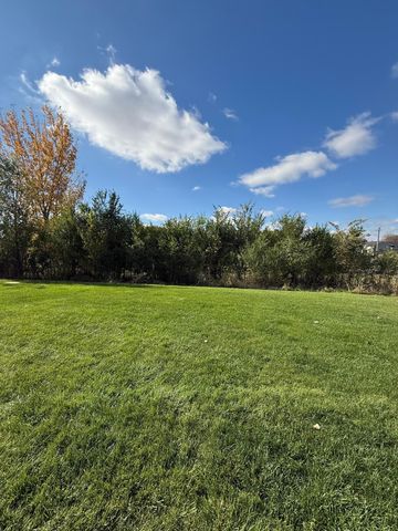 1011 Alexander Court, Montrose, MN 55363