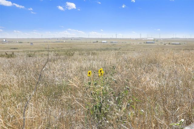 36290 Wagner Lane, Calhan, CO 80808