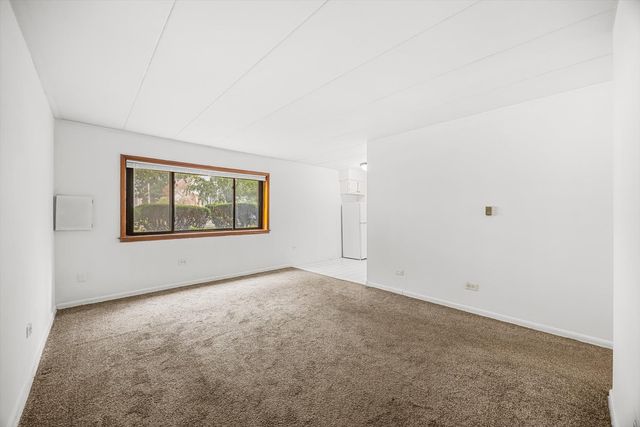 109 S Elmwood Avenue 2, Oak Park, IL 60302