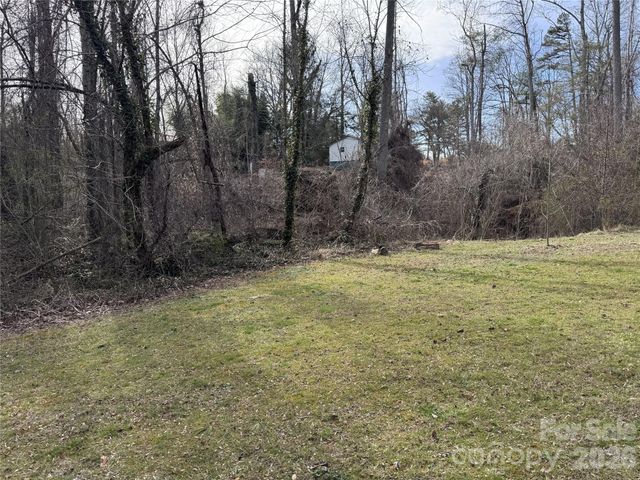 000 Jackson Loop Road 3, Flat Rock, NC 28731