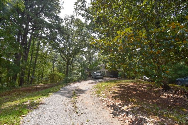 13035 Highway 171, Northport, AL 35473